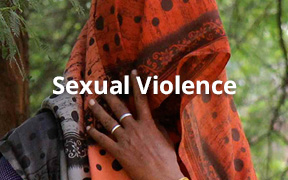 sexual violence-small
